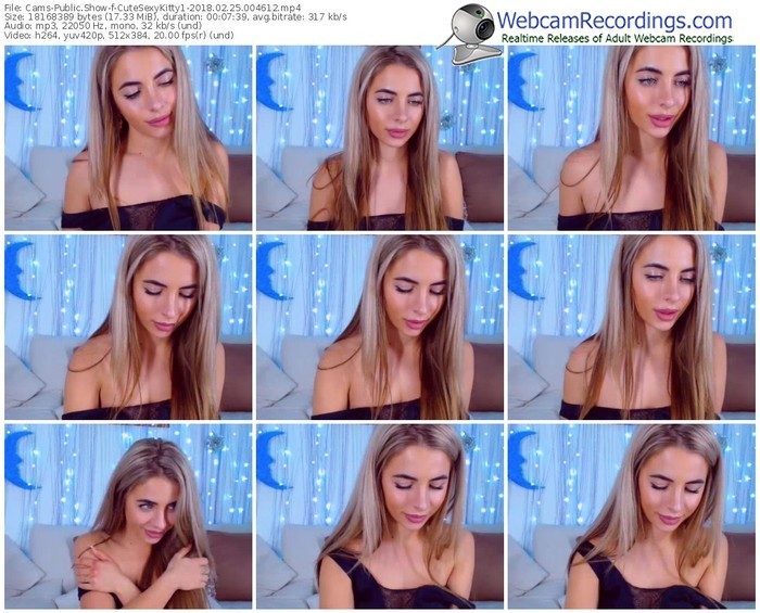 cams-cutesexykitty1-webcam-show-02_25_2018-00_46_12
