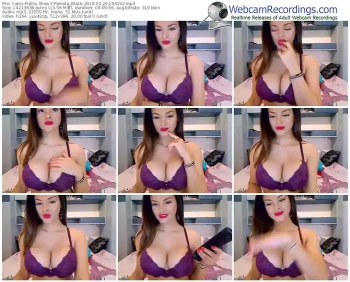 cams-pamela_black-webcam-show-02_26_2018-19_31_52