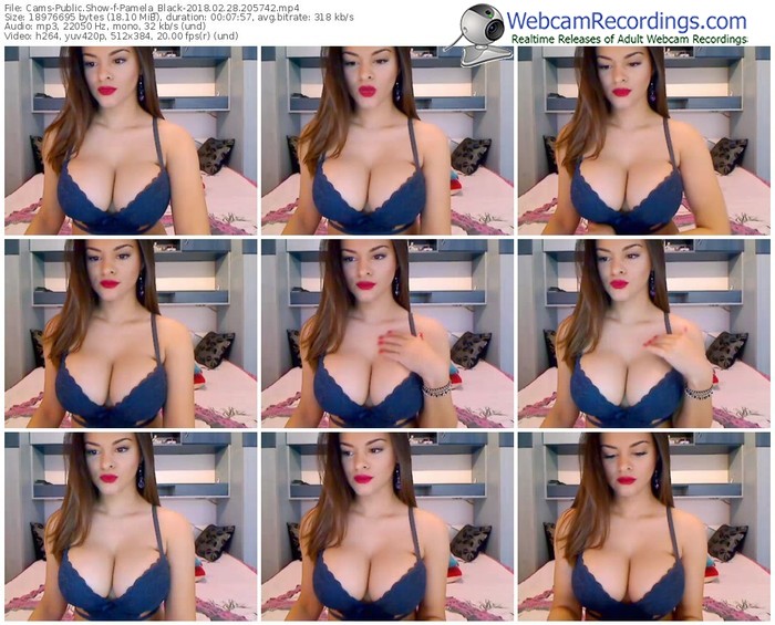 cams-pamela_black-webcam-show-02_28_2018-20_57_42