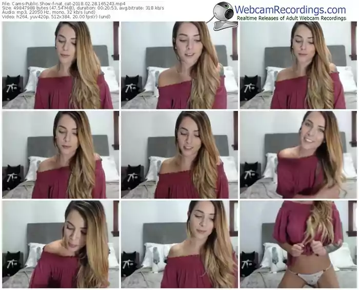 cams-nat_cat-webcam-show-02_28_2018-16_52_43