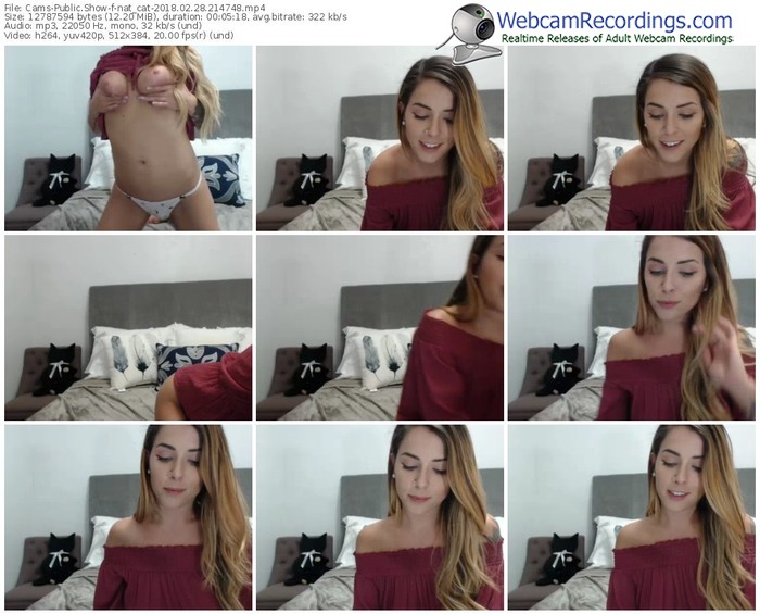 cams-nat_cat-webcam-show-02_28_2018-21_47_48