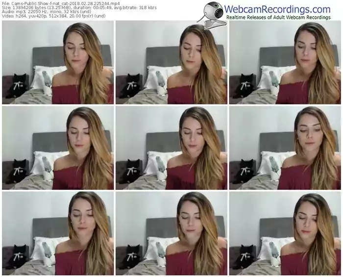 cams-nat_cat-webcam-show-02_28_2018-22_52_44