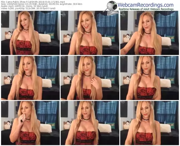 cams-catsmith-webcam-show-03_01_2018-17_23_01