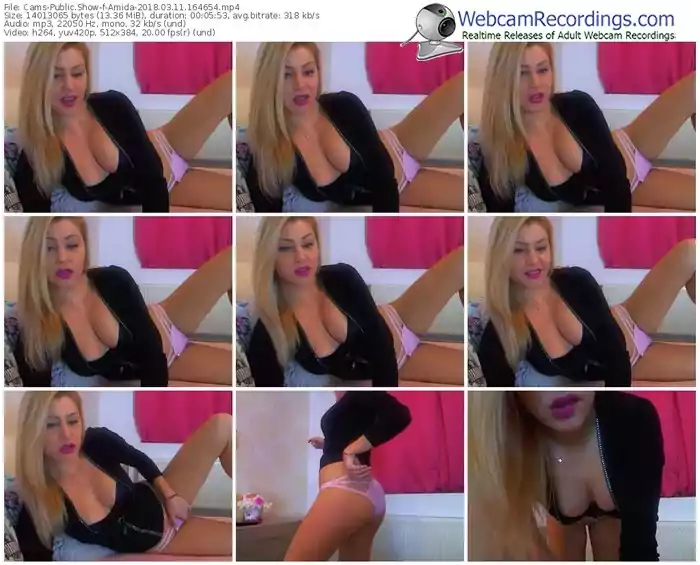 cams-amida-webcam-show-03_11_2018-16_46_54