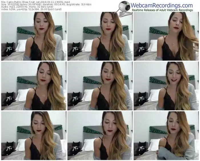 cams-nat_cat-webcam-show-03_11_2018-13_56_51