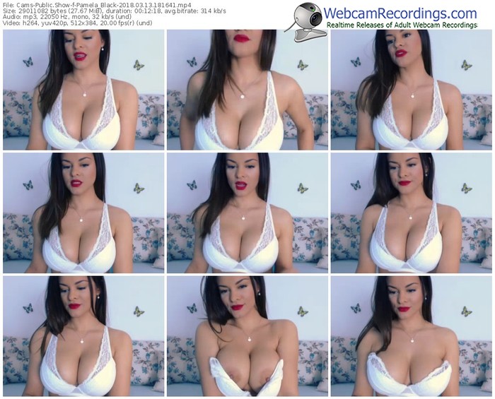 cams-pamela_black-webcam-show-03_13_2018-18_16_41