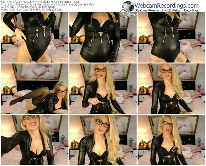 cams-pinkorchid24-webcam-show-03_13_2018-18_46_41