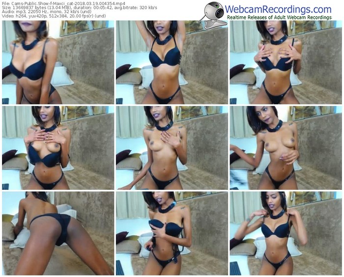 cams-maxci_cat-webcam-show-03_19_2018-00_43_54