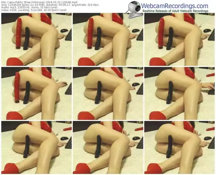 cams-mimosa1-webcam-show-03_23_2018-12_35_48