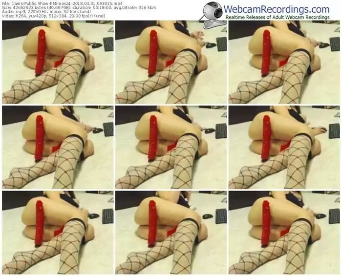 cams-mimosa1-webcam-show-04_01_2018-09_30_15