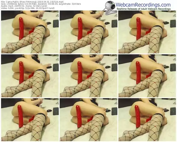 cams-mimosa1-webcam-show-04_01_2018-10_15_16