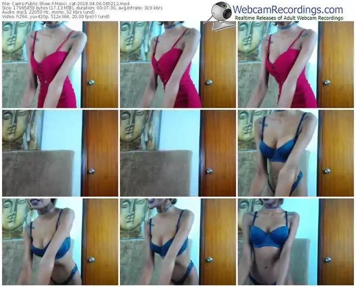 cams-maxci_cat-webcam-show-04_06_2018-06_02_12