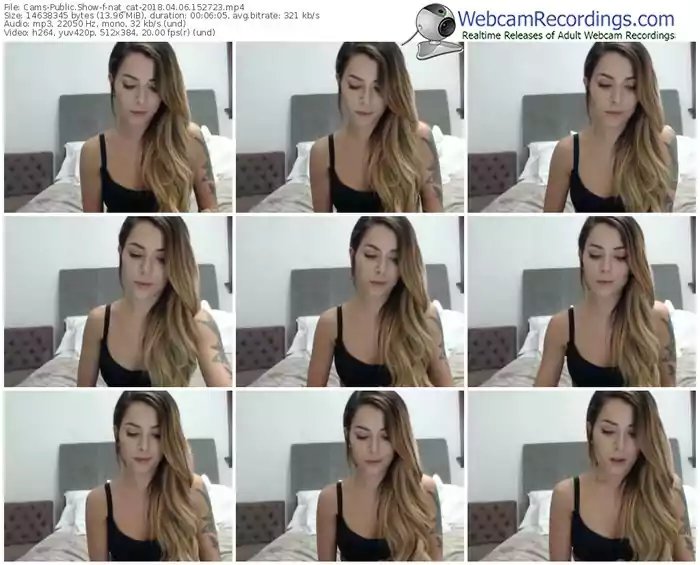 cams-nat_cat-webcam-show-04_06_2018-15_27_23