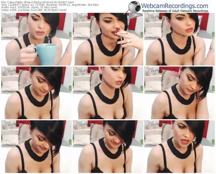 cams-shyba-webcam-show-04_09_2018-20_48_37