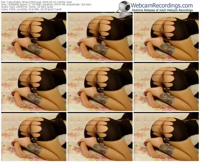 cams-mimosa1-webcam-show-04_10_2018-13_03_51