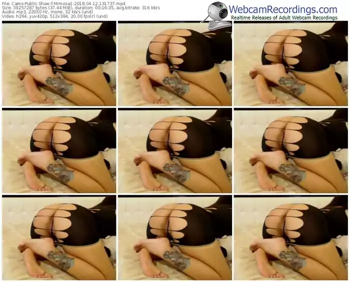 cams-mimosa1-webcam-show-04_12_2018-13_17_37