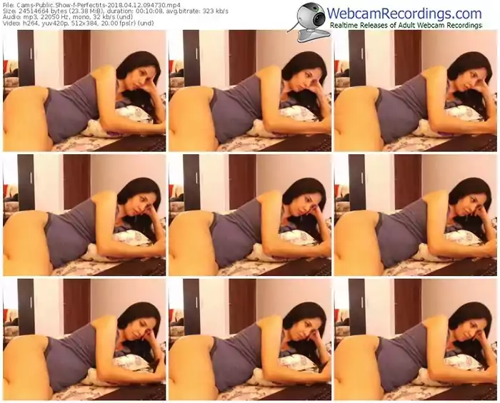 cams-perfectits-webcam-show-04_12_2018-09_47_30