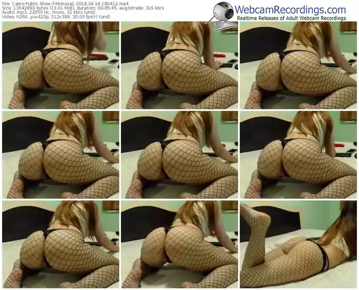 cams-mimosa1-webcam-show-04_16_2018-18_04_12