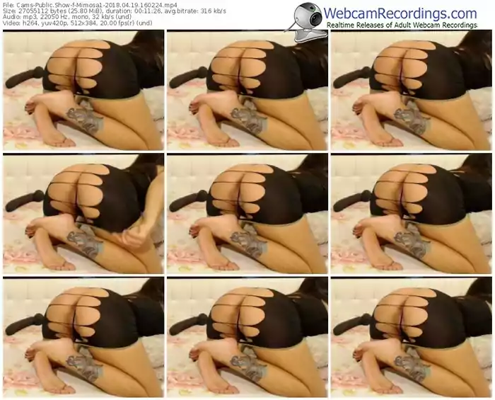 cams-mimosa1-webcam-show-04_19_2018-16_02_24