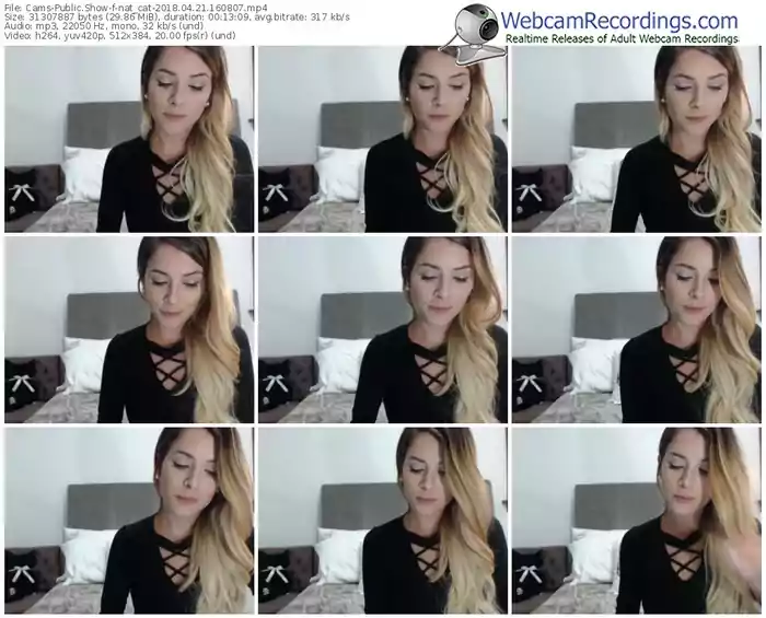 cams-nat_cat-webcam-show-04_21_2018-16_08_07