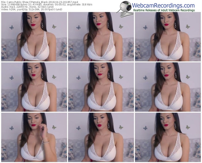 cams-pamela_black-webcam-show-04_23_2018-20_18_57