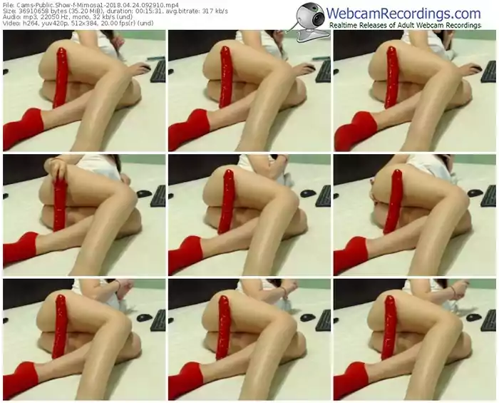 cams-mimosa1-webcam-show-04_24_2018-09_29_10