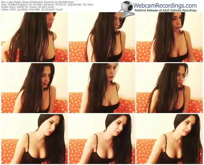 cams-perfectits-webcam-show-04_24_2018-06_39_08