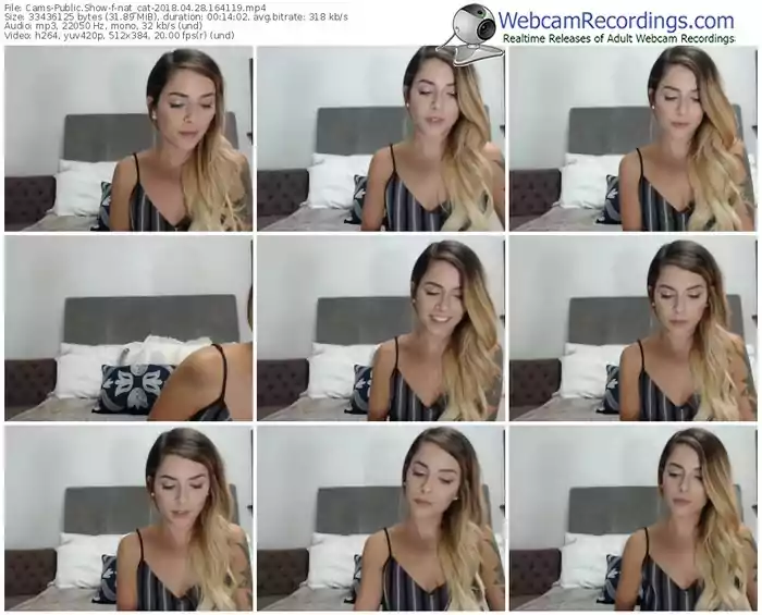 cams-nat_cat-webcam-show-04_28_2018-16_41_19