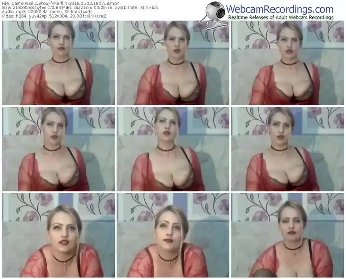 cams-merllin-webcam-show-05_02_2018-18_07_18