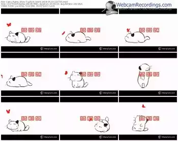 cams-upforit_test6-webcam-show-05_03_2018-12_07_35