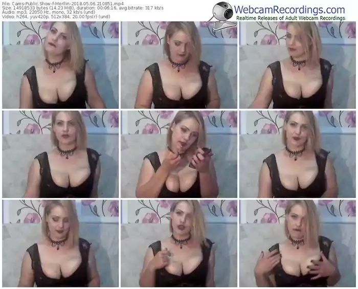 cams-merllin-webcam-show-05_06_2018-21_08_51