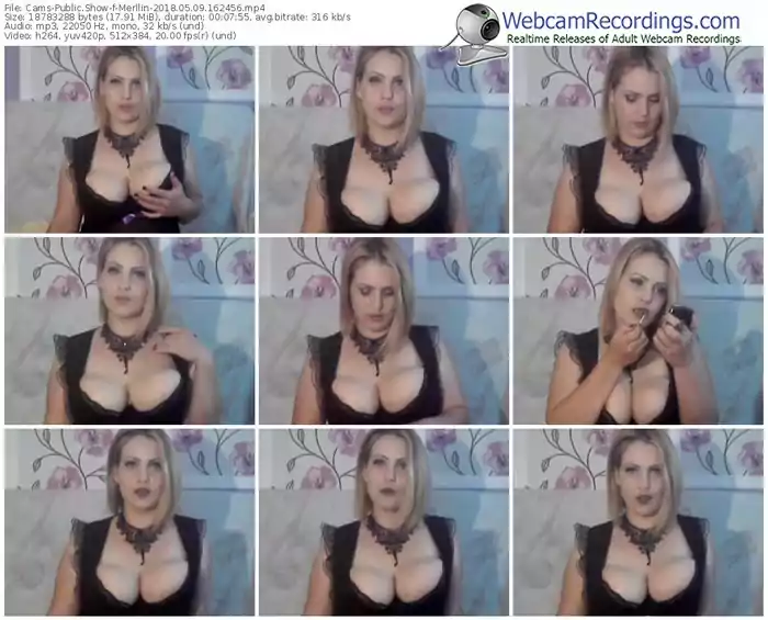 cams-merllin-webcam-show-05_09_2018-16_24_56