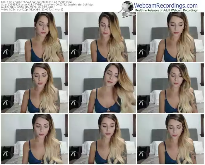 cams-nat_cat-webcam-show-05_12_2018-13_56_00