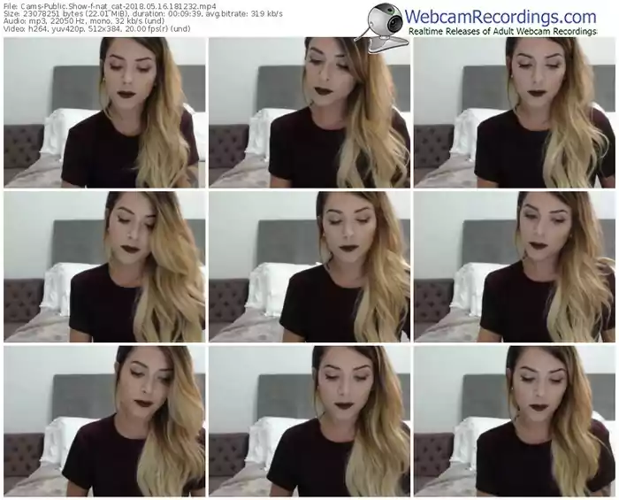 cams-nat_cat-webcam-show-05_16_2018-18_12_32