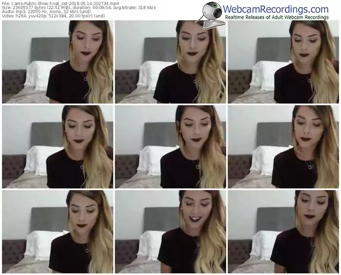 cams-nat_cat-webcam-show-05_16_2018-20_27_34