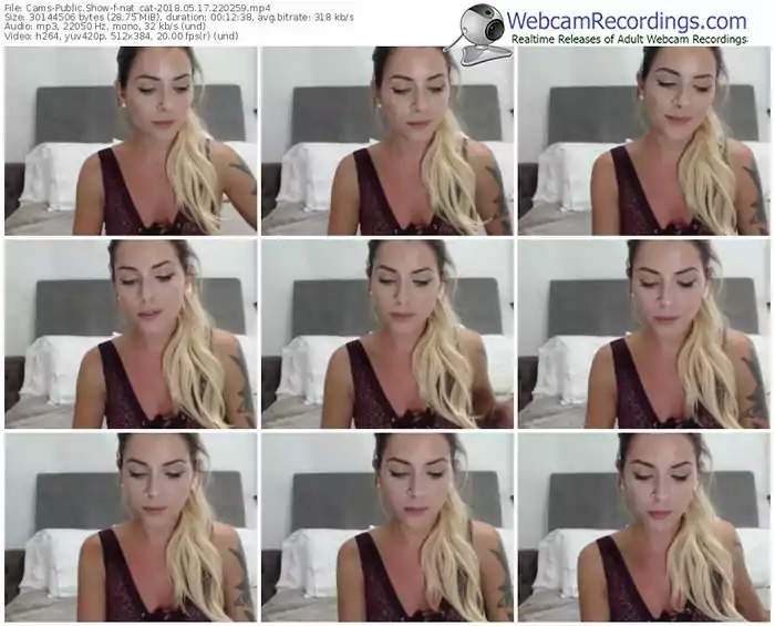 cams-nat_cat-webcam-show-05_17_2018-22_02_59