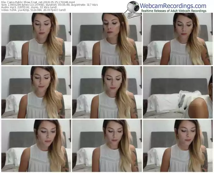 cams-nat_cat-webcam-show-05_25_2018-17_00_48