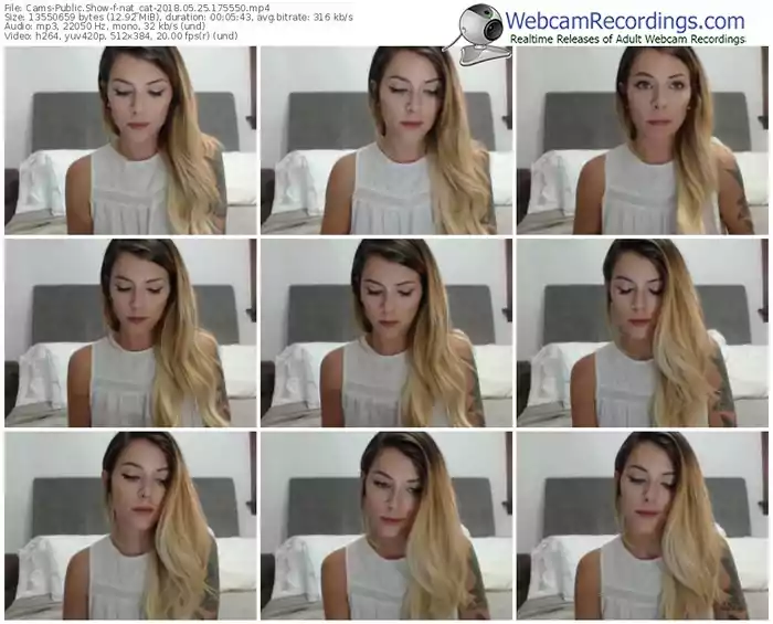 cams-nat_cat-webcam-show-05_25_2018-17_55_50