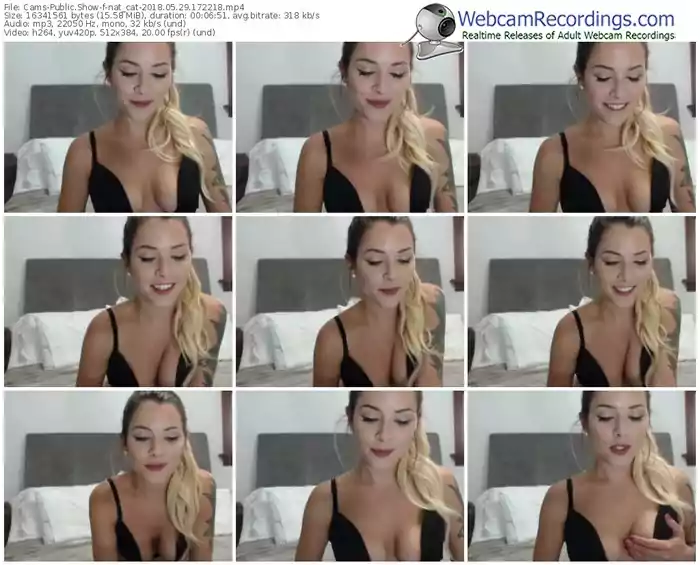 cams-nat_cat-webcam-show-05_29_2018-17_22_18