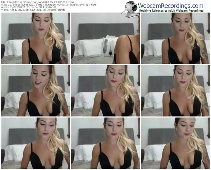 cams-nat_cat-webcam-show-05_29_2018-18_32_19