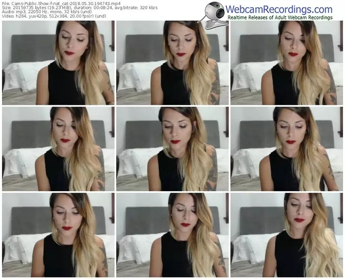 cams-nat_cat-webcam-show-05_30_2018-19_47_43