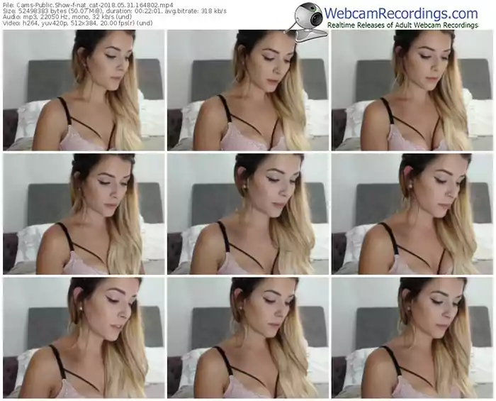 cams-nat_cat-webcam-show-05_31_2018-16_48_02
