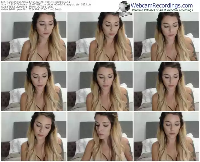 cams-nat_cat-webcam-show-05_31_2018-20_13_06
