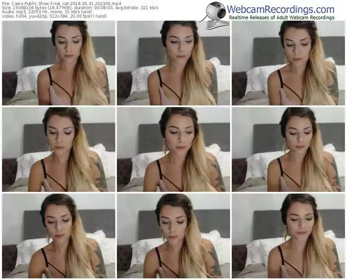 cams-nat_cat-webcam-show-05_31_2018-20_23_05