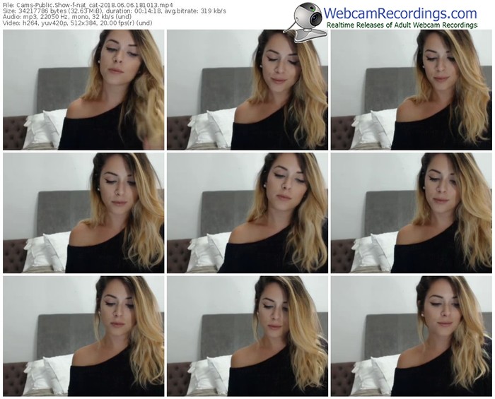 cams-nat_cat-webcam-show-06_06_2018-18_10_13