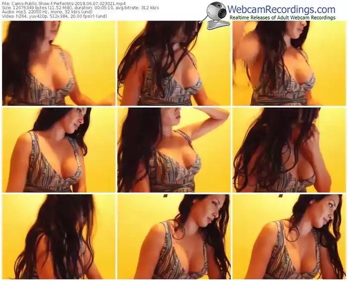 cams-perfectits-webcam-show-06_07_2018-02_30_21