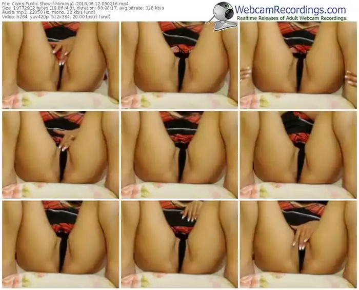 cams-mimosa1-webcam-show-06_12_2018-09_02_16