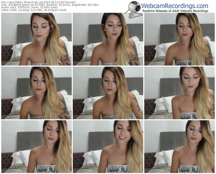 cams-nat_cat-webcam-show-06_12_2018-19_37_25