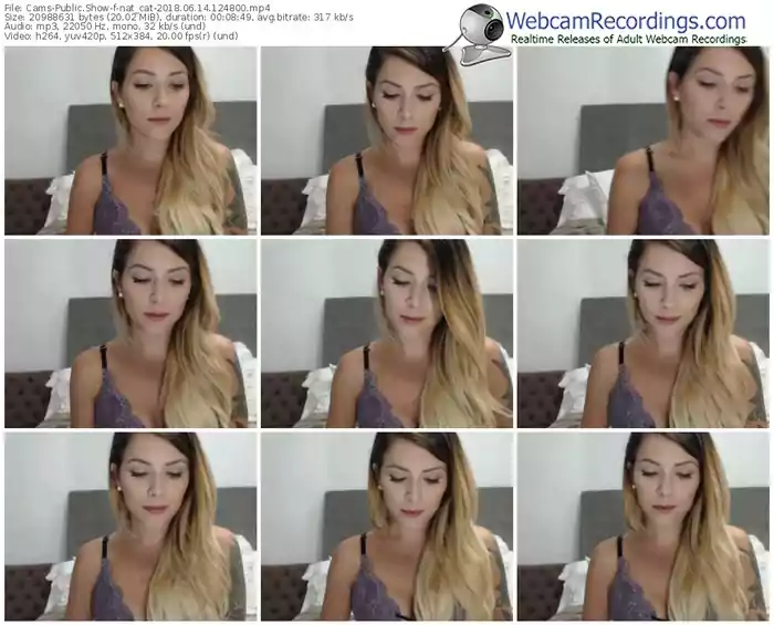 cams-nat_cat-webcam-show-06_14_2018-12_48_00