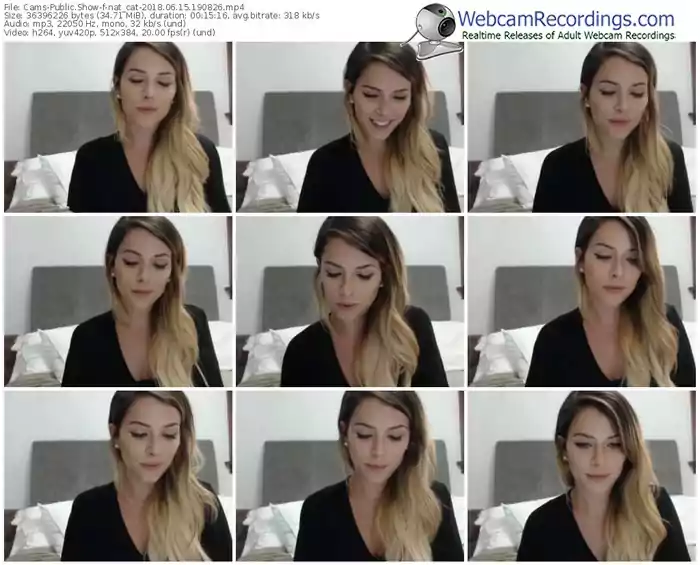 cams-nat_cat-webcam-show-06_15_2018-19_08_26